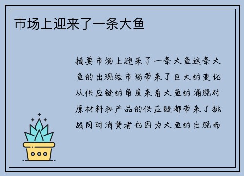 市场上迎来了一条大鱼